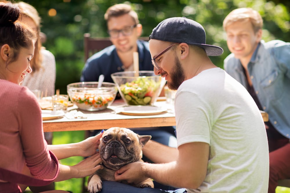 Group of friends having a picnic